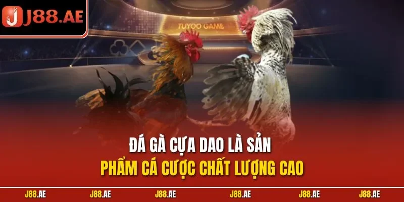 Đá gà cựa dao là sản phẩm cá cược chất lượng cao